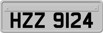HZZ9124