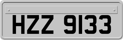 HZZ9133
