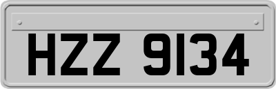 HZZ9134