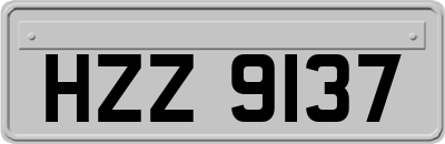 HZZ9137