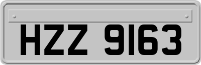 HZZ9163