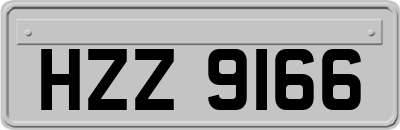 HZZ9166