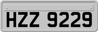 HZZ9229