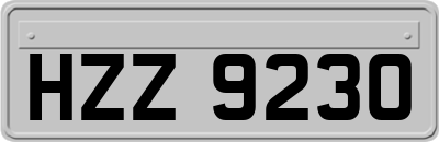 HZZ9230