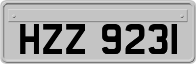 HZZ9231
