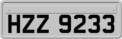 HZZ9233