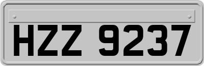 HZZ9237