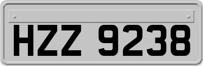 HZZ9238