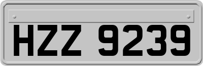 HZZ9239