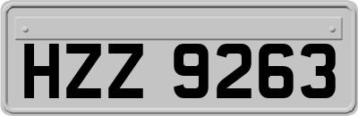 HZZ9263