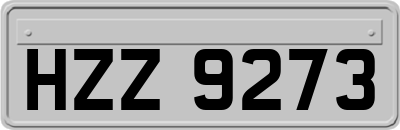 HZZ9273