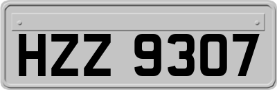 HZZ9307