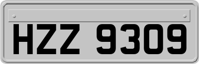 HZZ9309