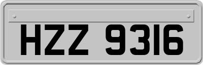 HZZ9316