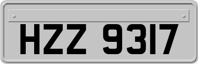 HZZ9317