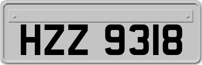 HZZ9318