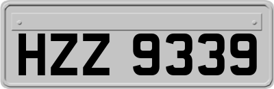 HZZ9339