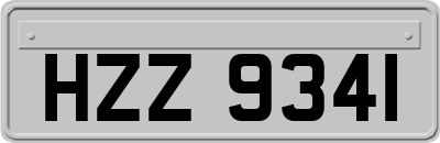 HZZ9341