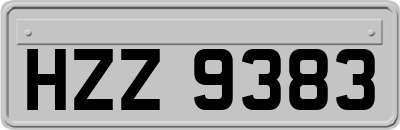 HZZ9383