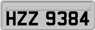HZZ9384