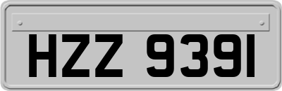 HZZ9391