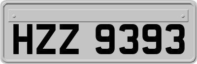 HZZ9393