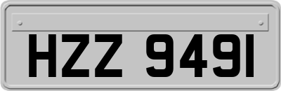 HZZ9491