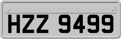 HZZ9499