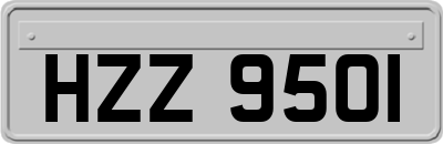 HZZ9501