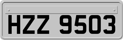 HZZ9503