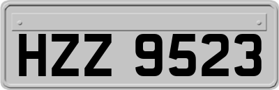 HZZ9523