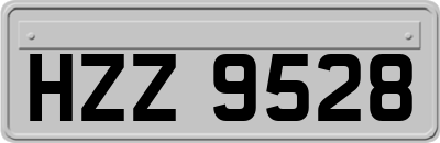 HZZ9528