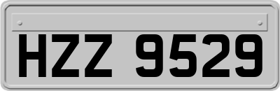 HZZ9529