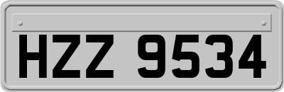 HZZ9534