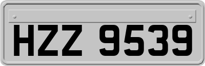 HZZ9539