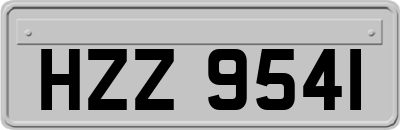 HZZ9541