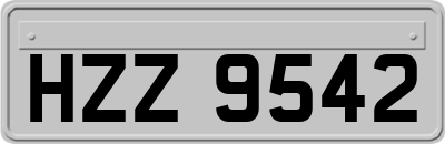 HZZ9542
