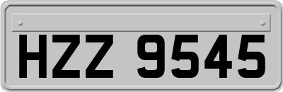 HZZ9545