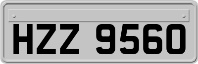 HZZ9560
