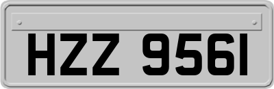 HZZ9561