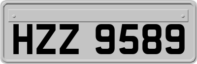 HZZ9589