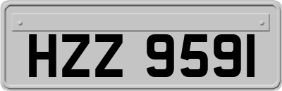 HZZ9591