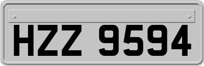 HZZ9594