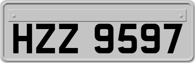 HZZ9597