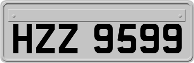 HZZ9599
