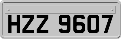 HZZ9607