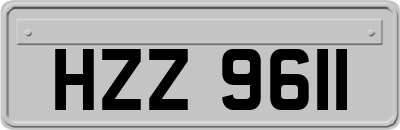 HZZ9611