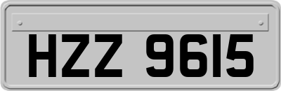 HZZ9615