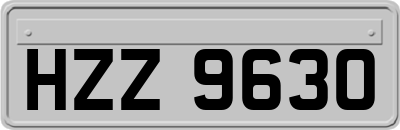 HZZ9630