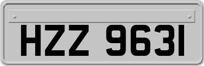 HZZ9631